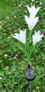 Solar Flower Lantern with Colorful Lily Design